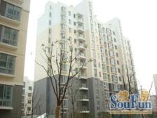 日晖新城 1室2厅 东南