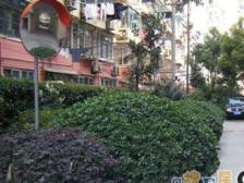 新装电梯,朝南精装2室户,独立围合式小区,安静整洁