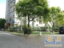 内环内滨江板块,高区景观房,18号线地铁口渔人码头旁