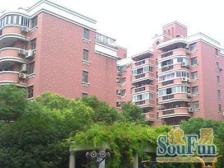 稀售下叠别墅 精装拎包入住 西边户刺眼采光带车位有