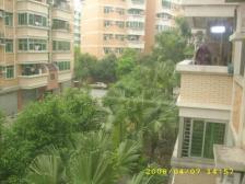 国贸商圈刚需两房 大小区 有电梯 南向楼层好