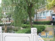 2000年电梯品质小区!原始三房可做四房!简装可住!南北通透