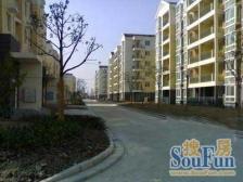 电梯房,现场实勘 随时看房,新上房源