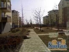 7号线15号线 举步即达 诚心出售 商品小区