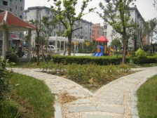 盛宅一村5室南朝向290.00万元/套出售