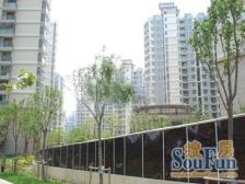 阳光充沛,绿草茵茵·,08年,两房两厅两卫,生活方便