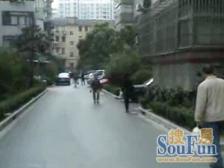 九州花苑1室南朝向550.00万元/套出售