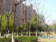 此房满五,飞机户型,户型方正没有斜角,安静不吵