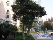 龙柏 · 龙柏香榭苑 · 4室 · 2厅