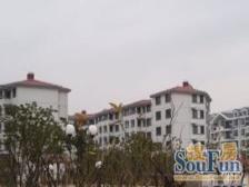平阳三街坊,全明两房,南北通透,超大院子,小区中间位置不靠路