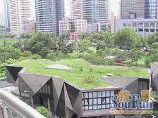 虹桥南丰城商圈、南北通透、双卫全明户型,邻公园