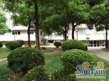 大华·锦华苑·1室·1厅