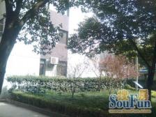 美丽家园,满五年,户型方正,全明户型 业主诚意出售