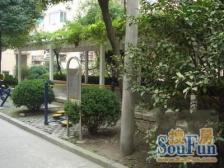 一T两户非顶楼 双南户型 小区中间 采光刺眼 诚售