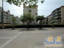 凤凰楼层 一梯两户 全明双南 业主诚意出售 有钥匙