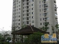 江杨家园2室南朝向339.00万元/套出售