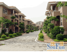 沙田东港城 6室2厅 东南