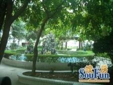 房是过五唯一 业主急卖 看房方便