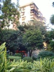 明月小区交通方便环境优美生活设施齐全可谈