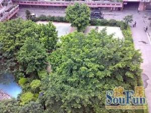 鸿辉阁电梯两房户型方正业主诚心出售价格可议
