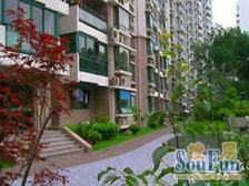 全新装修,所见即所得,业主急售