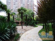 华敏世纪广场3室南朝向1008.00万元/套出售