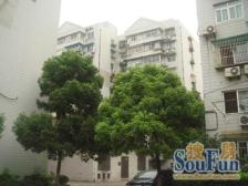 品质小区,环境优美,居家装修,诚意出售