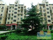 杨浦滨江边南北板房电梯楼层好