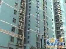 东边套位置佳看江景,高区两房全明户型、满五*V一