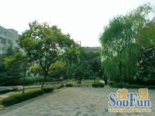 通风好,精装 采光好,必看好房