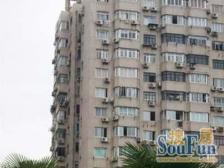 高区视野无遮挡,新天地板块,电梯房,总价低