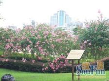 高区视野无遮挡,新天地板块,电梯房,总价低