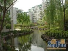 杨浦区白玉兰得奖小区 东方名城 复试户型 小高层