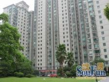 有电梯+小区环境好+海华卢湾+急售急售+看房方便