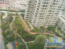 新天地罕见小户型出炉,高绿化物管好