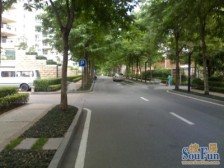 中空挑高大厅,带大露台,采光好