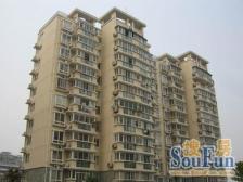 入住快 无抵押,采光好,热销好房