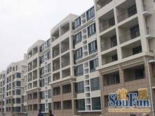 无抵押 电梯房 新上房源