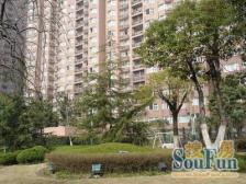 龙华·徐汇苑·1室·1厅