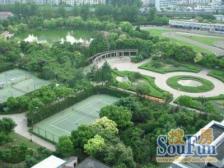 俯瞰整个曲阳公园,北宸新上南北通三房,全天采光