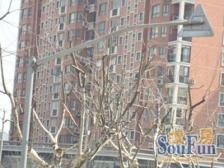 西藏北路 · 申桂公寓 · 3室 · 2厅