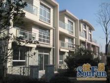 看过来看过来,采光嘎嘎好,交通便利