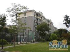 莘纪苑 2室2厅1卫 南北