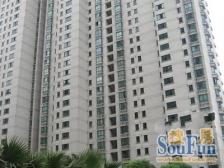 近地铁 电梯房,新上房源