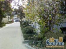 业主急急急降价,精装复式三房两卫