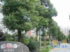 飞机户型,中楼层,电梯房,采光好,视野好