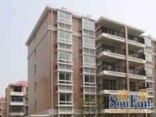 顶楼复式+南北双阳台+ 动静分离飞机户型+松阁楼阳光房