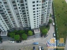 苏州河畔的小高层 两梯两户 正看小区绿化