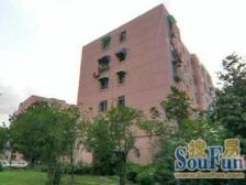 高区一房,格局方正,采光视野好。