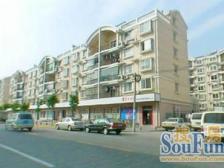 店长推荐!带20平大院子,户型正气